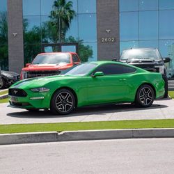 2019 Ford Mustang