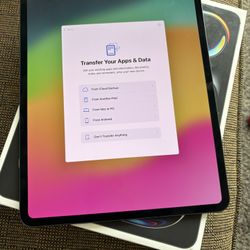 2024 Apple iPad Pro 13" M4 Space Black 256GB Wi-Fi + 5G LTE Unlocked