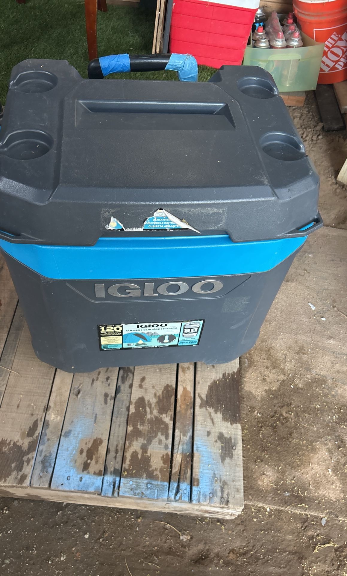 Cooler
