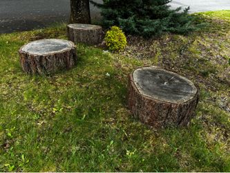 Wood rounds