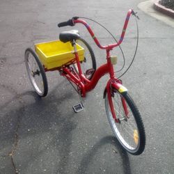 23 INCH 3 WHEELER WITH CUSTOM REAR STORAGE CASE
