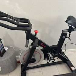 Sunny Exercise Bike