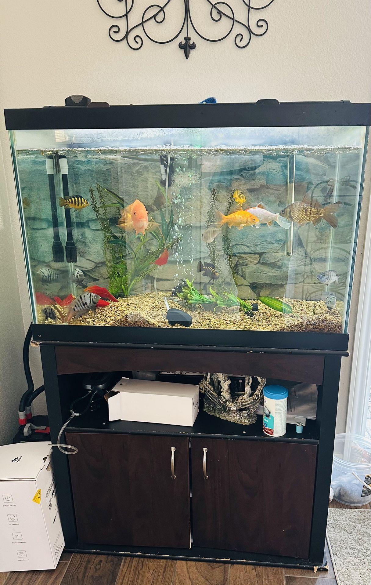 65 Gallon Aquarium