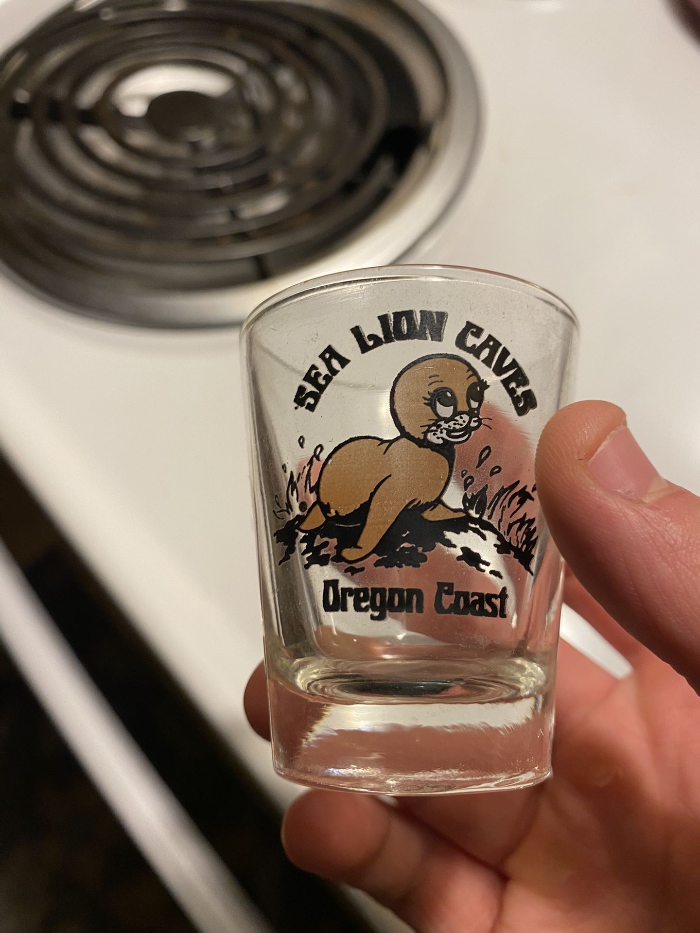Sea Lion Caves Clear Shot-Glass