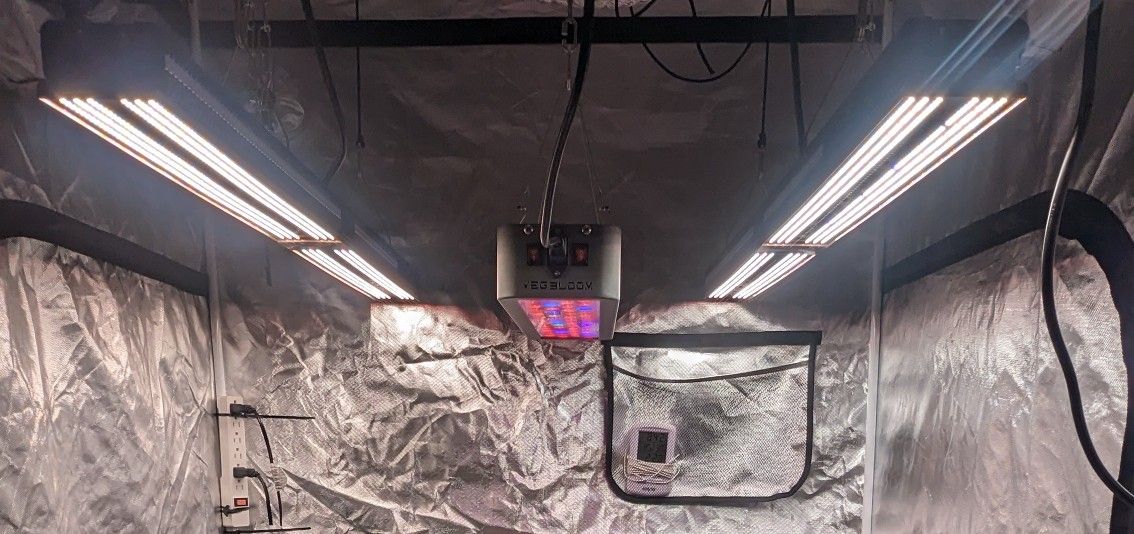 LED Grow Lights