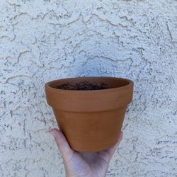 Pot For Plant 
