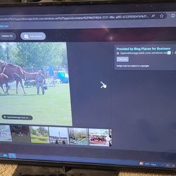Vizio  39 Tesla Smart TV 