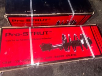 Pro-STRUT Complete Strut and Coil Spring Assembly