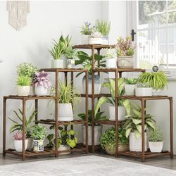  Plant Stand