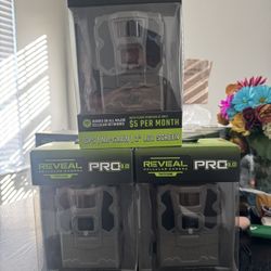 Trail Cameras 