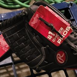 Rawlings Ball Glove
