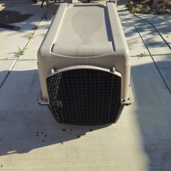 Dog Carrier Grreat Choice XL