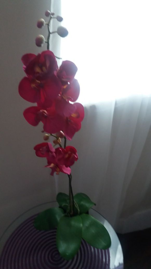 Purple orchid fake plant