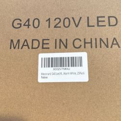 Bulb Lights 