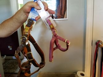AKC harnesses