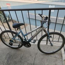 Mountain Bike