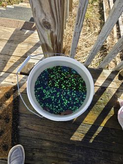 Fish Tank Rocks And Decor 