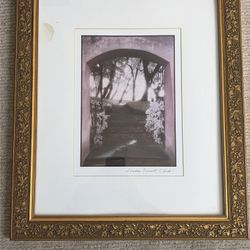 Sandra Russell Clark Framed/Matted Monochromatic (Purple-tones) Garden Photo - 1