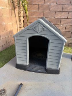 Dog House