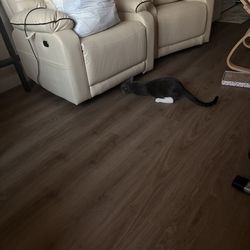 Recliner Chair with Lift Feature for Elderly or Disabled - Two Available, one for $550 or two for $1100