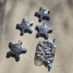 Audi Caps & Lugs