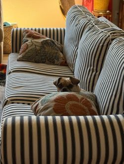 IKEA Ektorp couch cushion