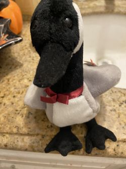 BEANIE BABY LOOSY 1998