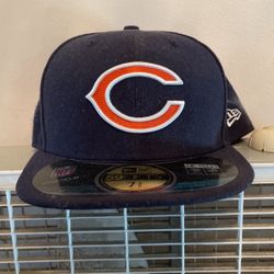 Bears