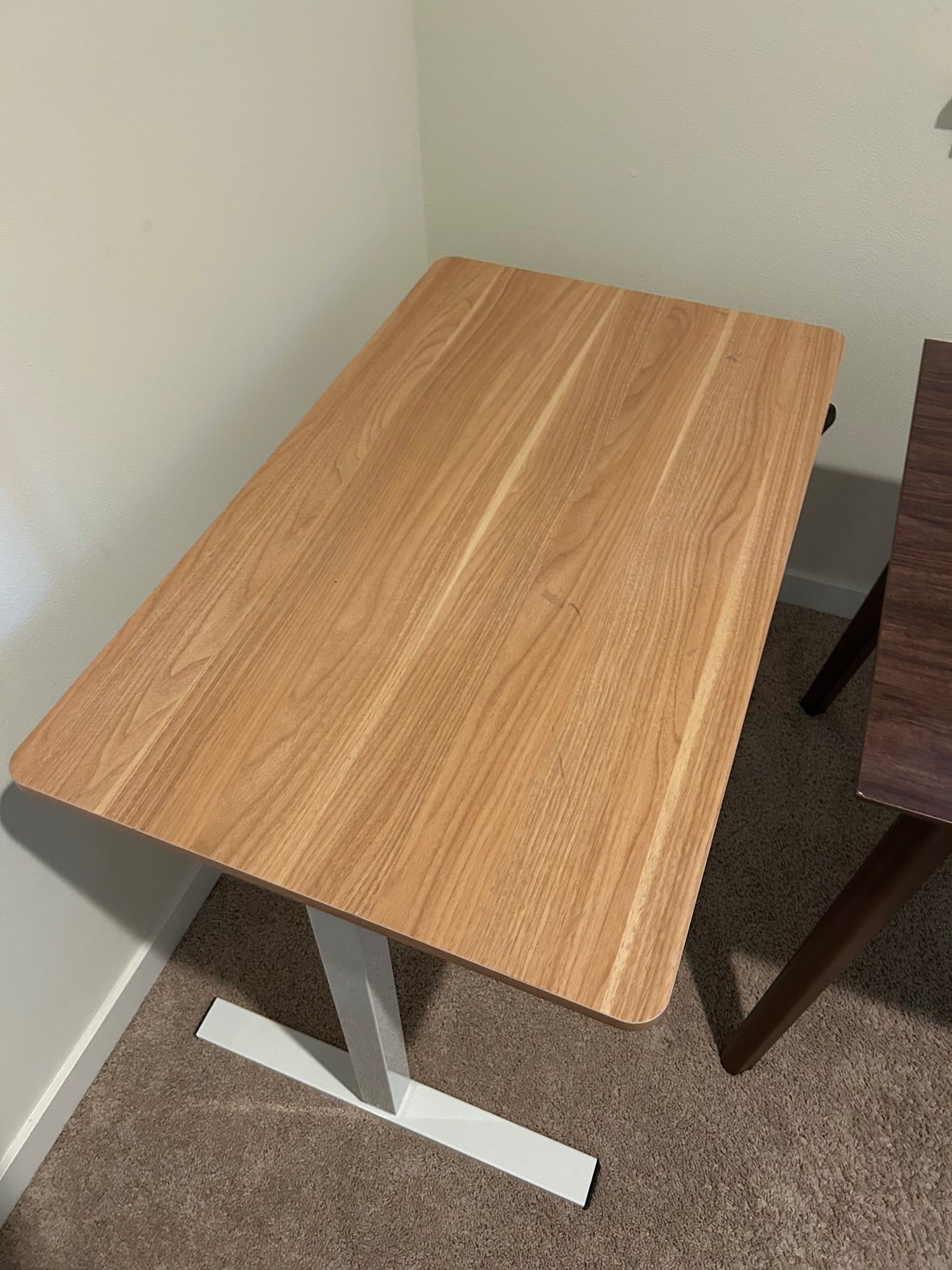 Oak Sit Stand Desk