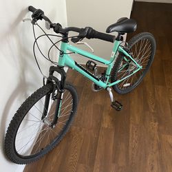 Nishiki Mountain Bike