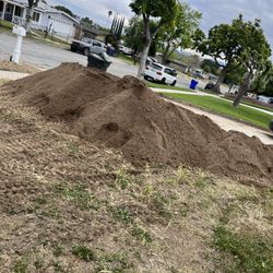 Free Dirt