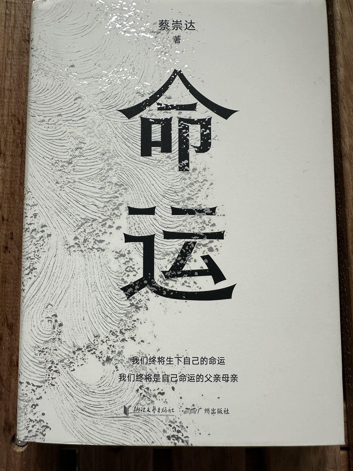 中文书 命运 蔡崇达 Chinese Book 