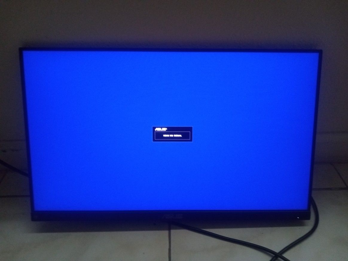asus monitor