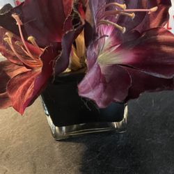 Silk Plant!