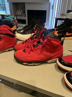Toro 6