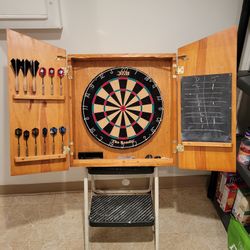 Professional Dart Board