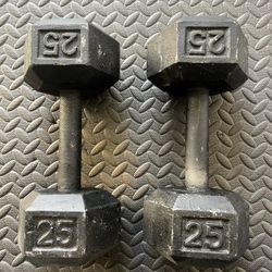 Weight Dumbbells 25 Lb