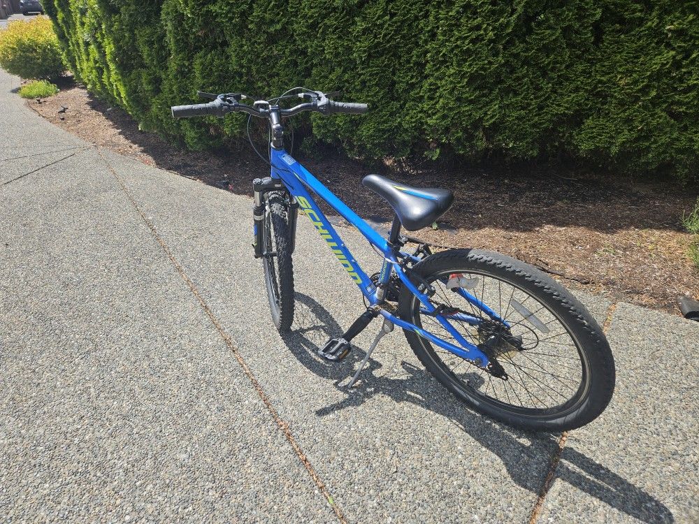 Schwinn Bike