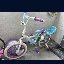 Frozen Bike