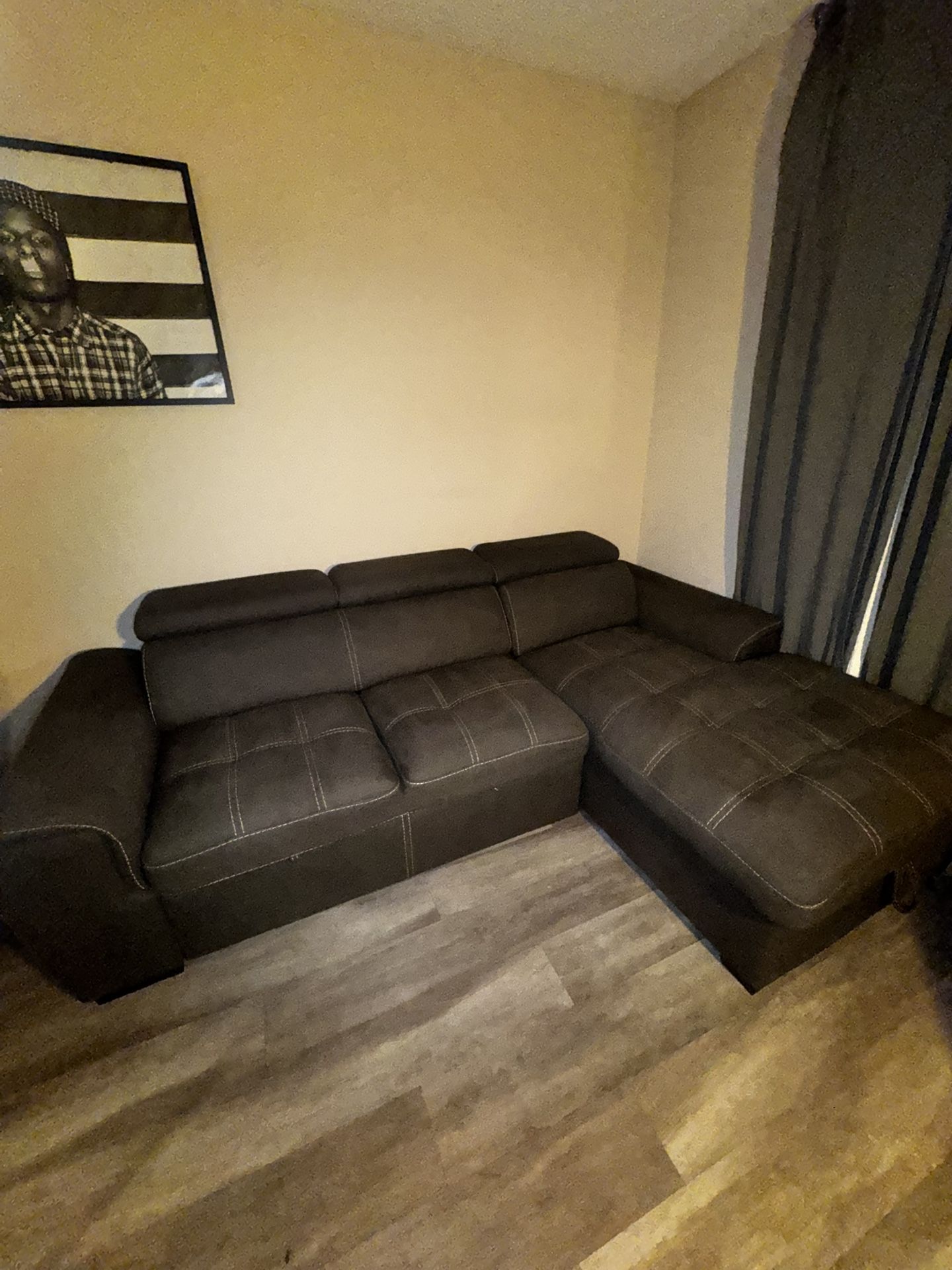 Couch With Pullout Bed