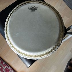 Congas Parches/ Congas Stand Deal Packet