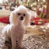 Kathy