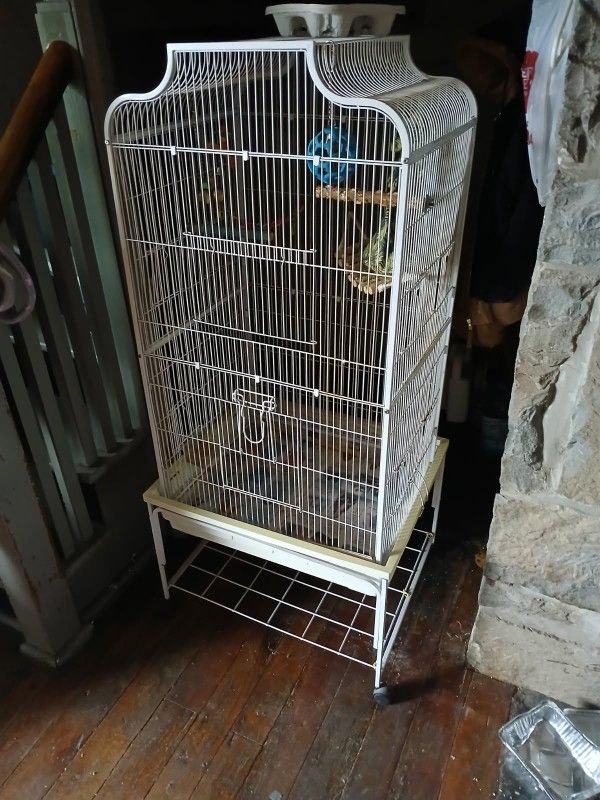 2 Bird Cages (Identical)