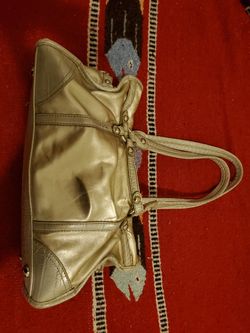 Kathy Vanzeland Purse