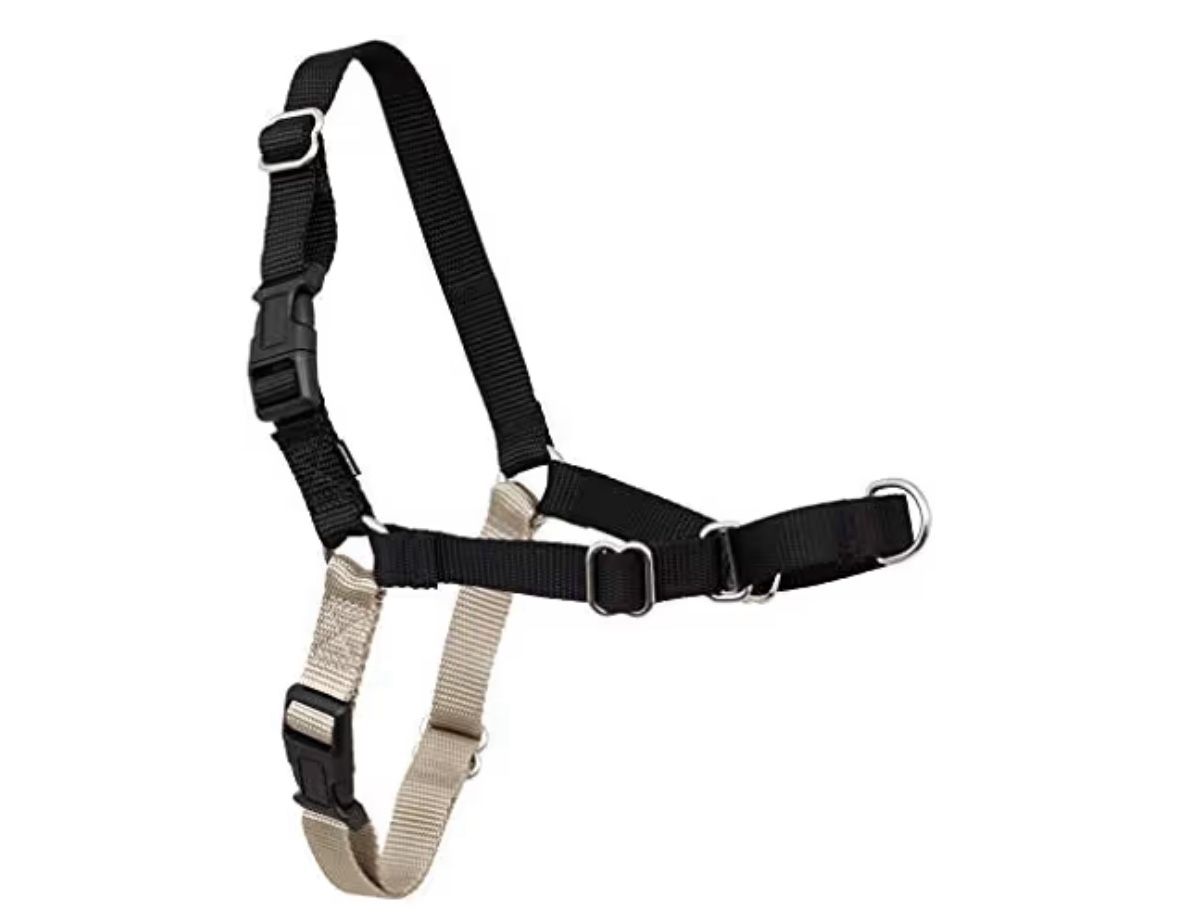 PetSafe Easy Walk No-Pull Harness (M, L)