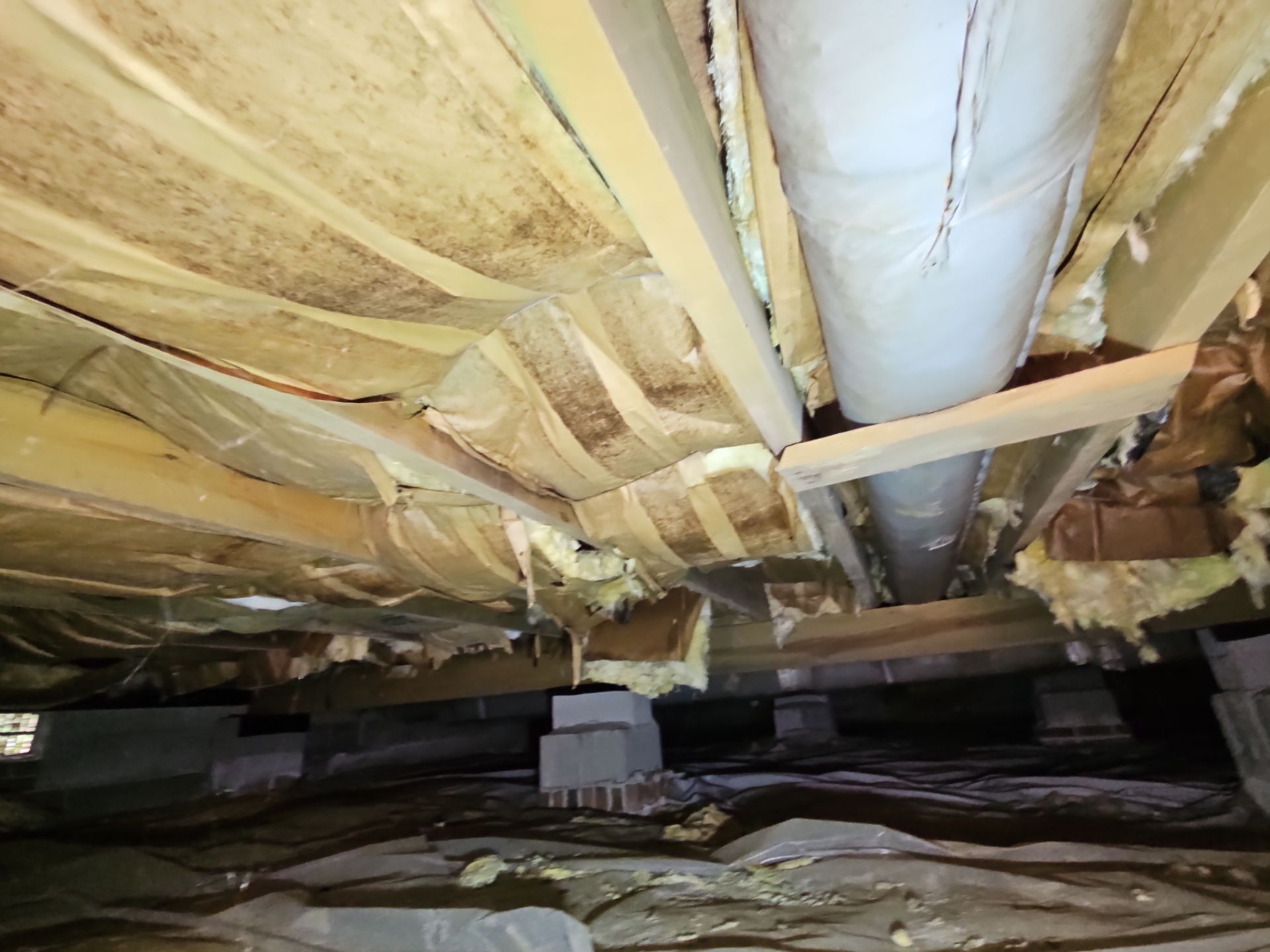 Free Insulation Newport News