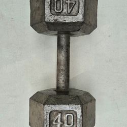 Barbell 40 lb, Weight, Cast Iron Hex Dumbbell, Single 