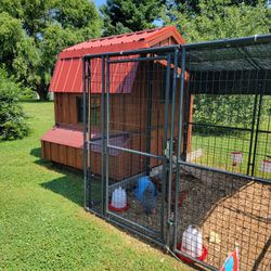Chicken Coup And Runs