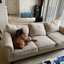 Chair/couch for Sale 