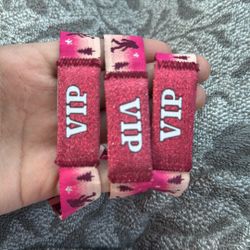 3 Camp Flog Gnaw Vip Sunday Only